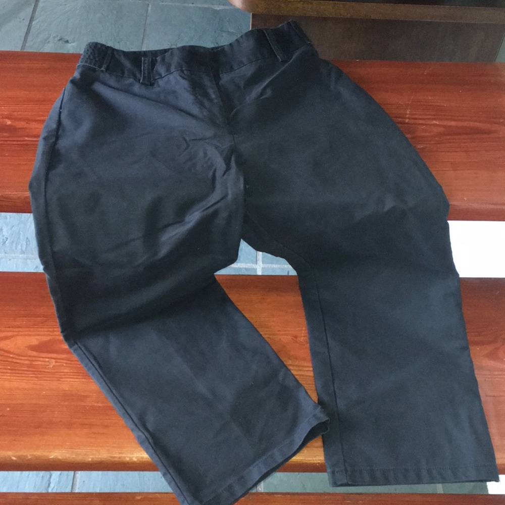 Ann Taylor capris/1